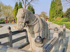 -洛阳白马寺