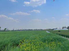 -中国天府农业博览园