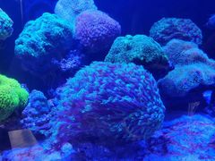 -海合安武汉极地海洋公园