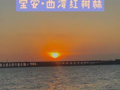 -宝安西湾红树林湿地公园