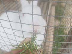 -青瓦房古村落