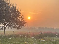 -汉长安城未央宫国家考古遗址公园