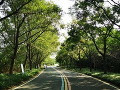 -同里国家湿地公园