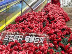 -万科生活广场(东莞松山湖店)