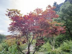 -叠溪松坪沟景区