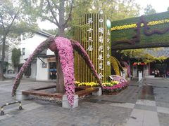 -汇龙潭