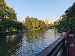 -晓港公园
