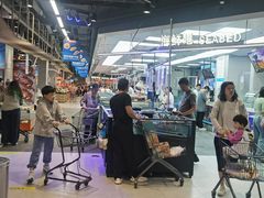 -盒马鲜生(大成店)