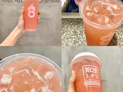 -1828王老吉·草本新茶(珠江新城地铁站店)