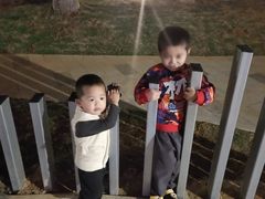 -万绿园