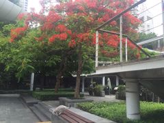 -缘生态云南菜·野生菌庭院餐厅(华侨城店)