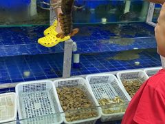 -常家活海鲜小吃(仅一家无分店)