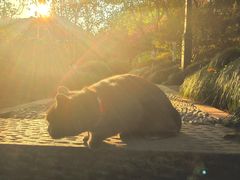 -杭州半山国家森林公园