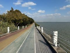 -贡湖湾湿地公园