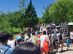 -十渡高山漂流