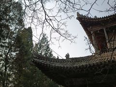 -兴教寺