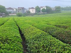 -敬亭山风景名胜区