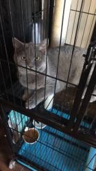 -飛凡TATTOO纹身•原创