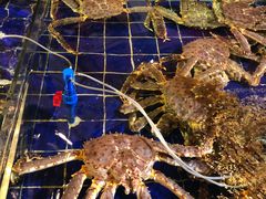 -79号渔船海鲜饭店(华强北店)