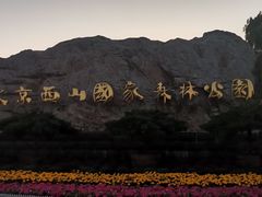 -北京西山国家森林公园