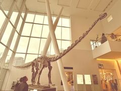 -OGGI TRATTORIA PIZZERIA(深业上城店)