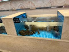 -一家春酒楼(惠工街店)