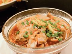 -鲨鱼醉鲜坊