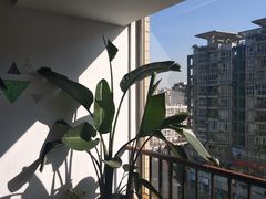 -爱乐蒙艺术·古筝 钢琴 声乐(科华校区)