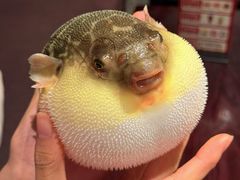 -永安鱼庄·镇江菜(东吴路店)