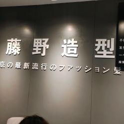 点击看大图 -藤野造型