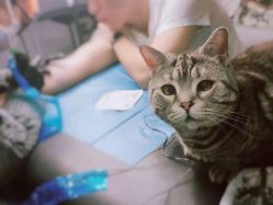 -幸运7纹身刺青Lucky7tattoo