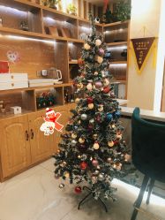 -芳朵美容养生SPA