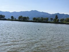 -野鸭湖国家湿地公园