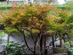 -胡雪岩故居