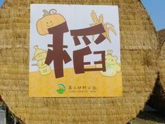 -嘉北郊野公园