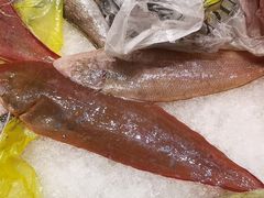 玉秃-合家小菜餐馆(新诚花苑店)