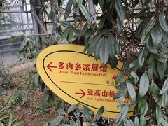 -南山植物园