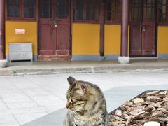 -龙华素斋(龙华路店)