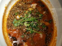 疯狂麻麻鱼-绿茶餐厅(昆明世纪金源店)