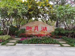 -映月湖公园