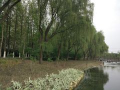 -昆山城市生态森林公园