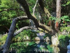 -蝴蝶泉公园