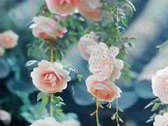 -学习谷日语培训日本留学·多语种外语教学(海淀人大分部)