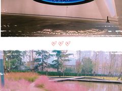 -张之洞与武汉博物馆