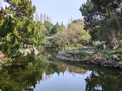 -叶家花园