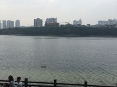 -南宁南湖公园