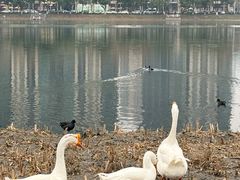 -西北湖绿化广场