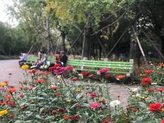 -武汉园博园(武汉自然博物馆)