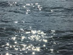 -西昌邛海湿地