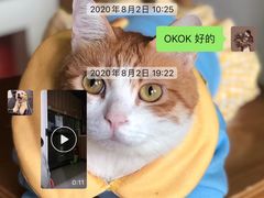 -瑞鹏宠物医院·夜间急症·心超·猫科(祖庙分店)